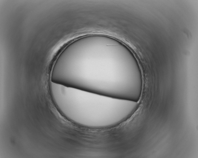 X0000113751503200909230955