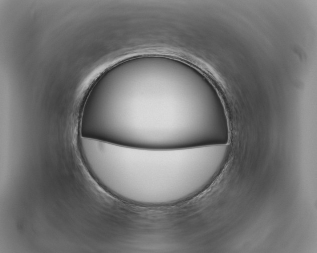 X0000113751504200909230955