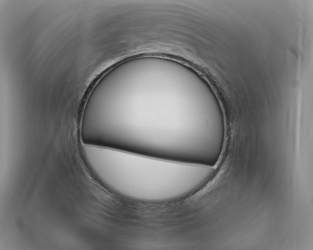 X0000113751505200909230955