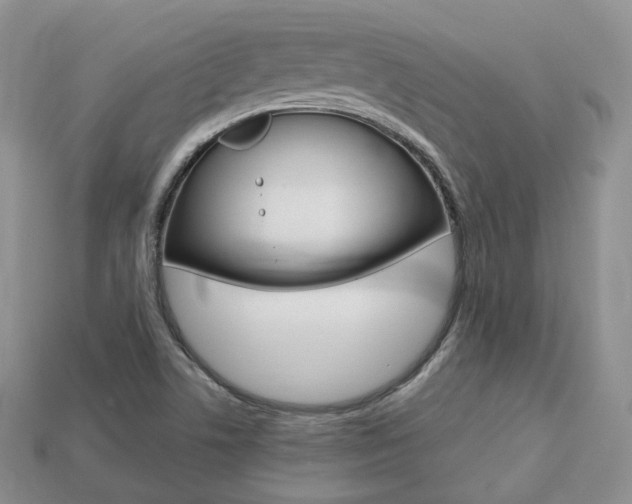 X0000113751506200909230955