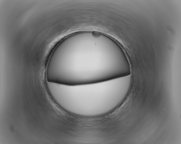X0000113751507200909230955