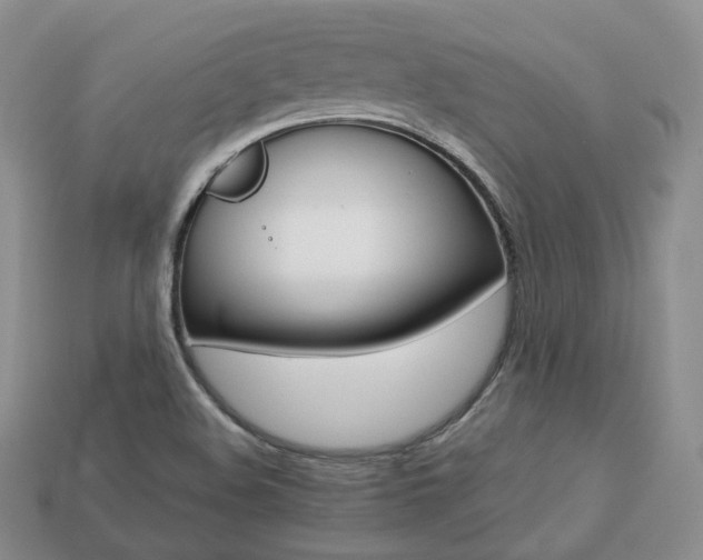 X0000113751508200909230955
