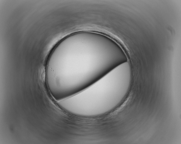 X0000113751509200909230955