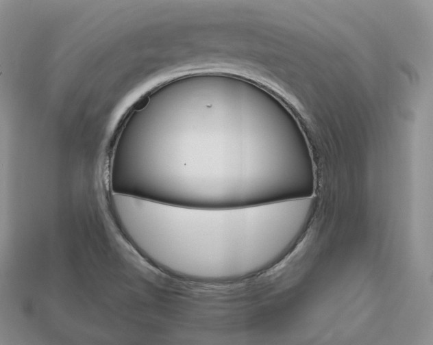 X0000113751510200909230955