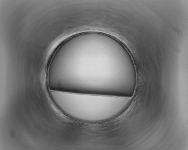 X0000113751511200909230955