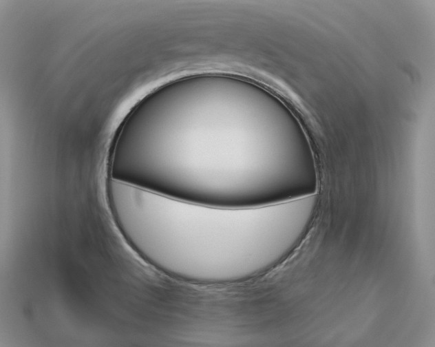 X0000113751512200909230955
