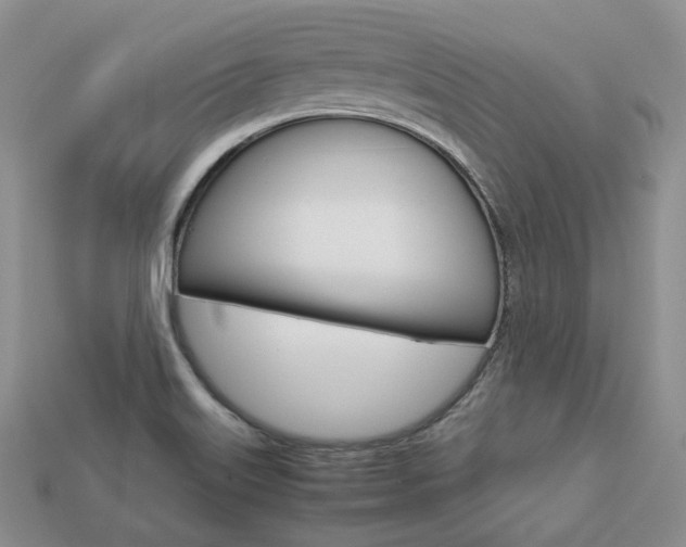 X0000113751515200909230955