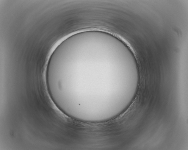 X0000113751516200909230955