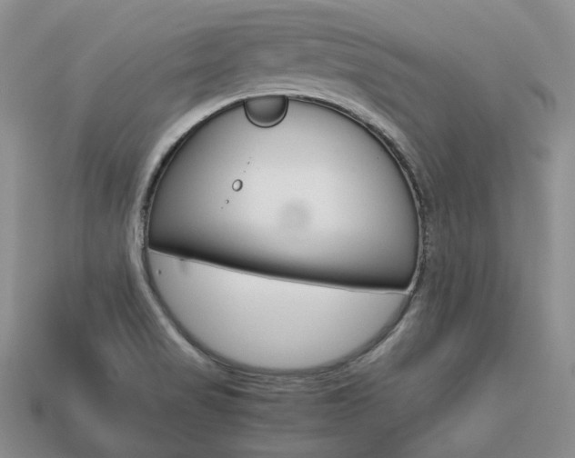 X0000113751517200909230955