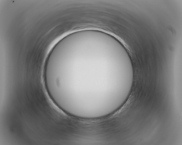 X0000113751518200909230955
