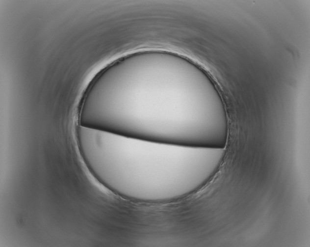 X0000113751519200909230955
