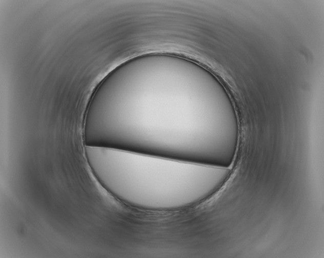 X0000113751521200909230955