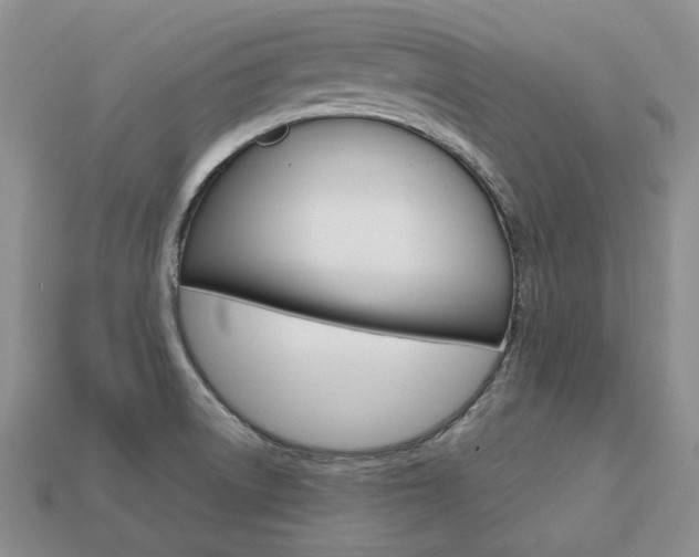 X0000113751522200909230955