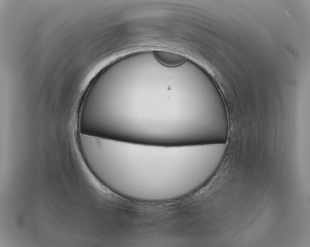 X0000113751523200909230955