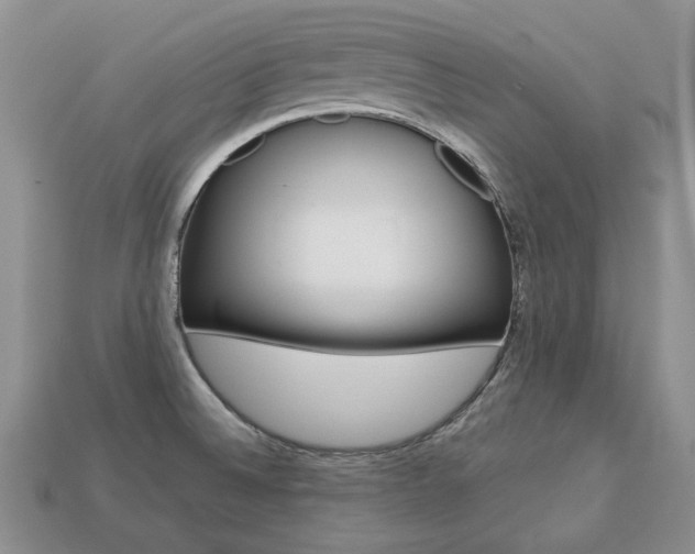 X0000113751524200909230955
