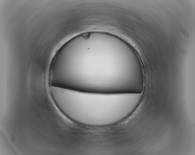X0000113751525200909230955