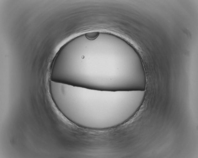 X0000113751526200909230955