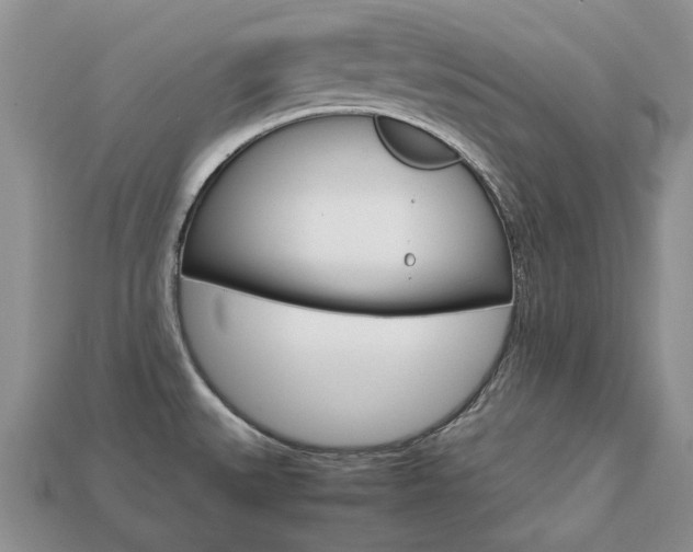 X0000113751527200909230955