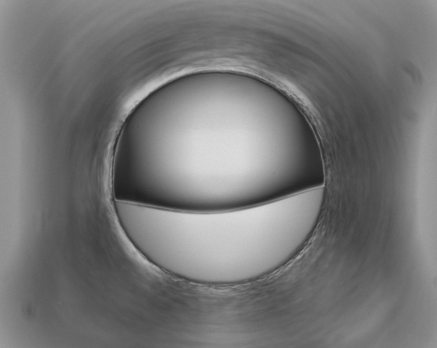 X0000113751528200909230955