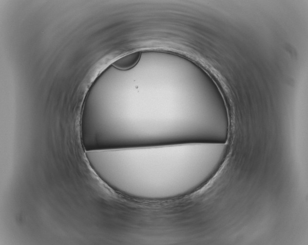 X0000113751529200909230955