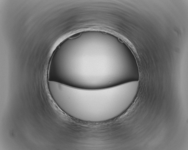 X0000113751530200909230955