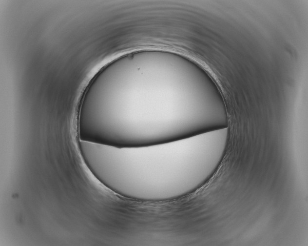 X0000113751531200909230955
