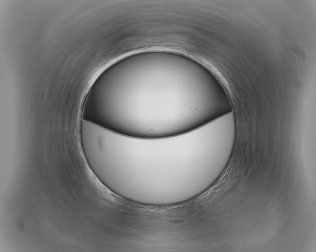 X0000113751532200909230955