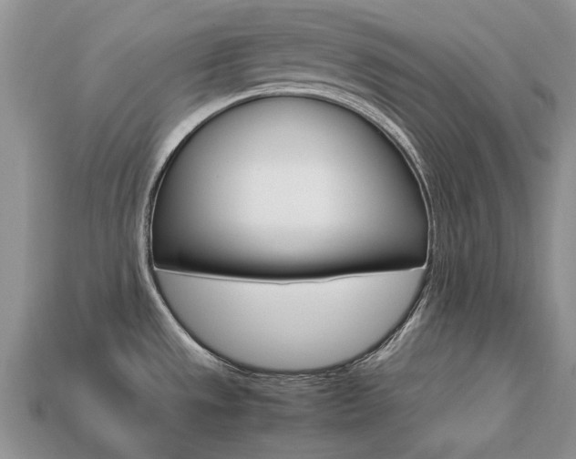 X0000113751533200909230955