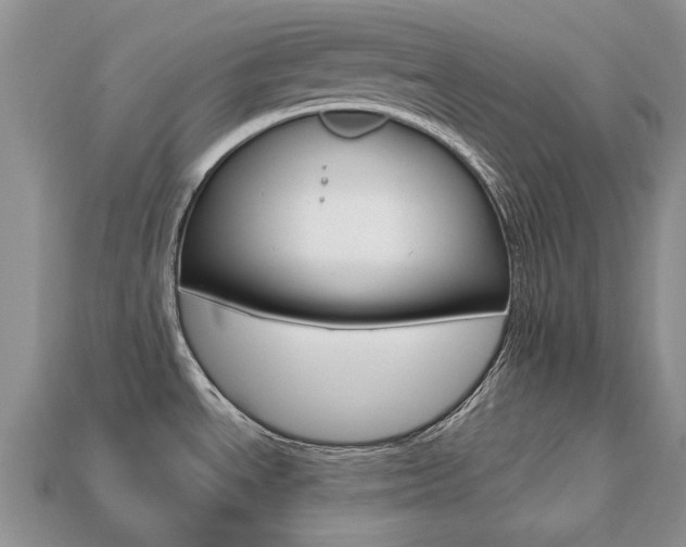 X0000113751534200909230955