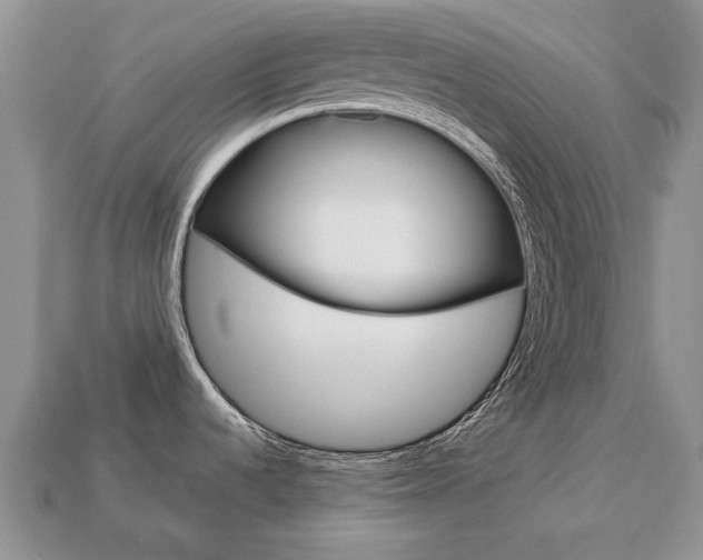 X0000113751536200909230956