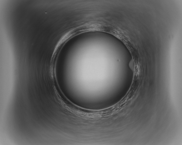 X0000113750004200909231141