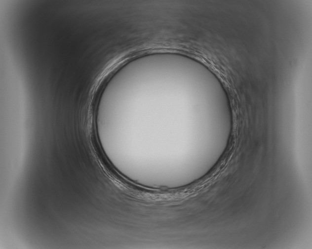 X0000113750005200909231141
