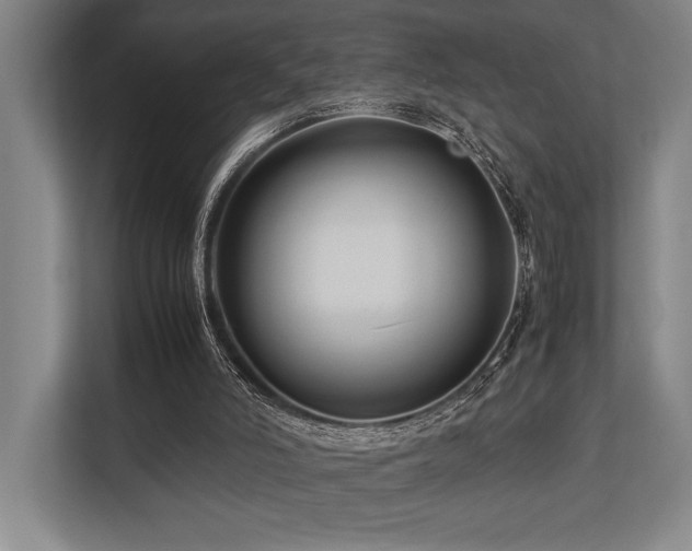 X0000113750006200909231141