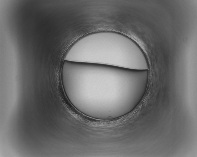 X0000113750009200909231141
