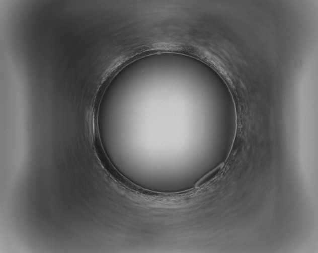 X0000113750011200909231141