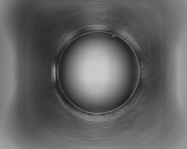 X0000113750014200909231141