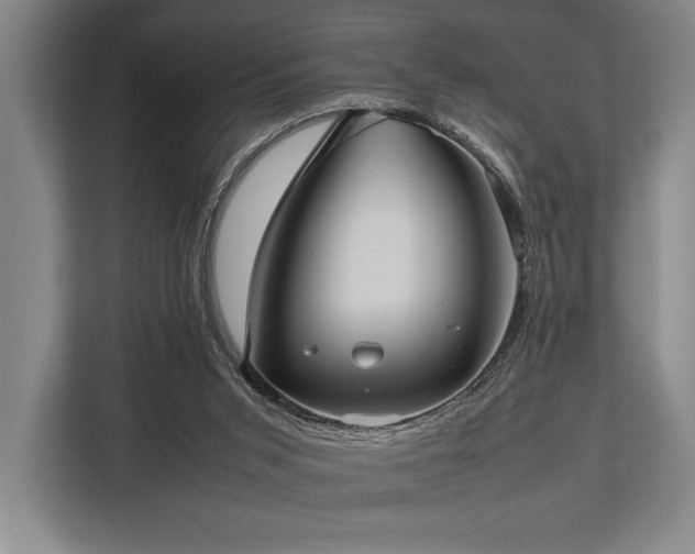 X0000113750015200909231141
