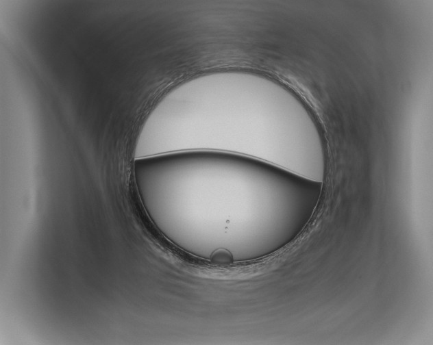 X0000113750017200909231141