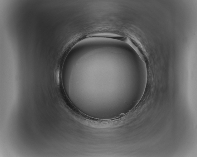 X0000113750019200909231141