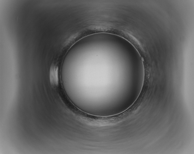 X0000113750020200909231141