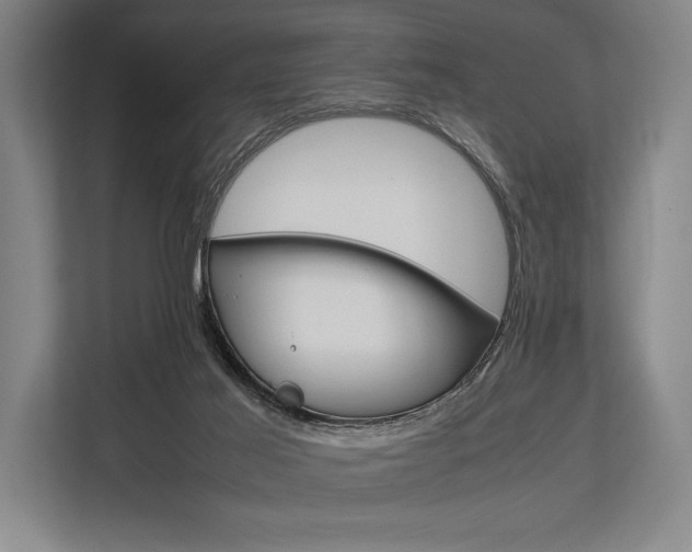 X0000113750021200909231141