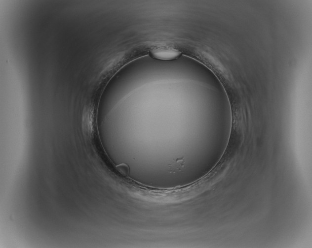 X0000113750023200909231141