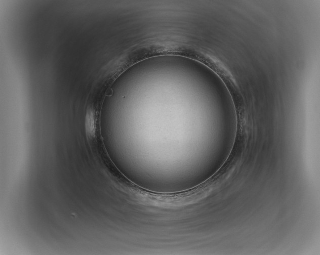 X0000113750026200909231141