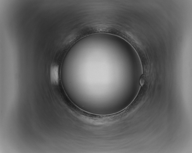 X0000113750028200909231141