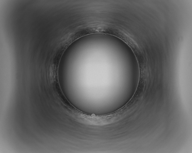 X0000113750030200909231141