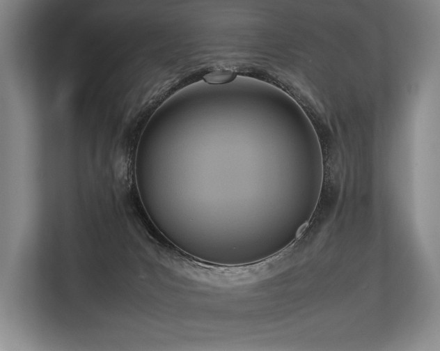 X0000113750031200909231141