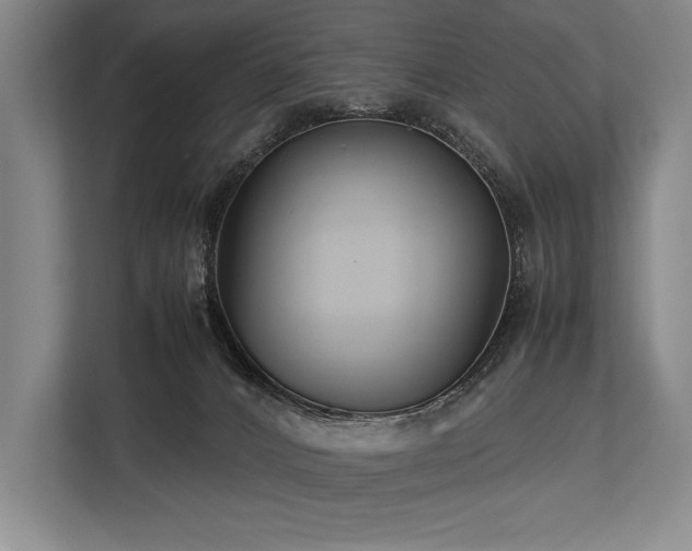 X0000113750032200909231141