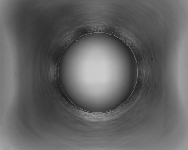 X0000113750034200909231141