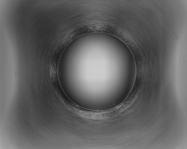 X0000113750040200909231141