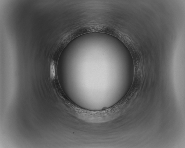 X0000113750042200909231141